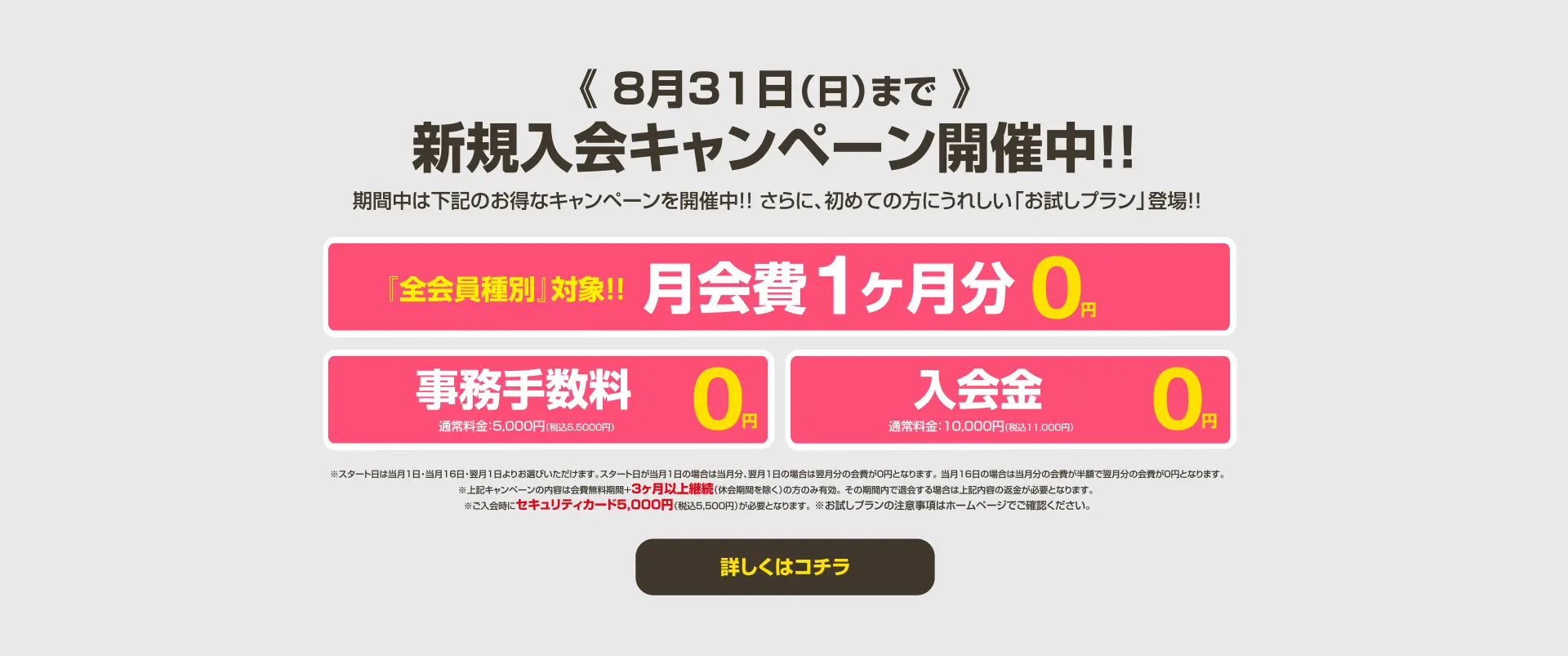 今月のキャンペーン情報