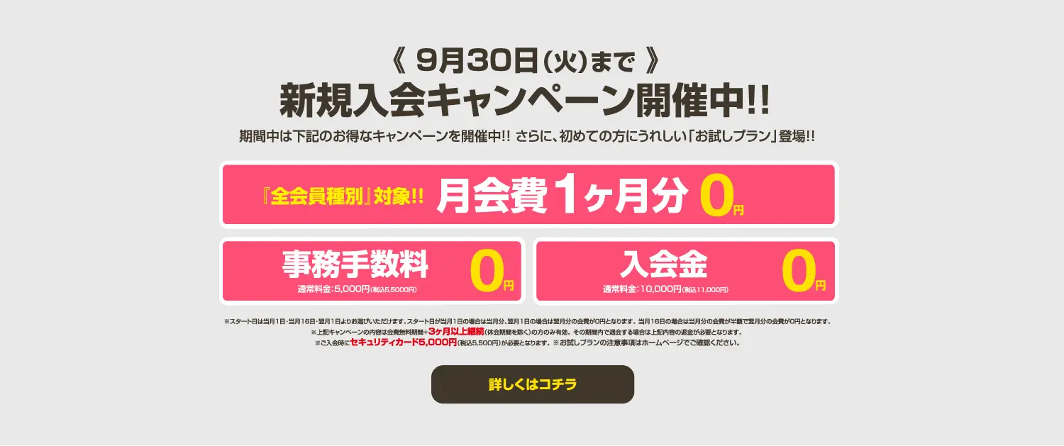 今月のキャンペーン情報