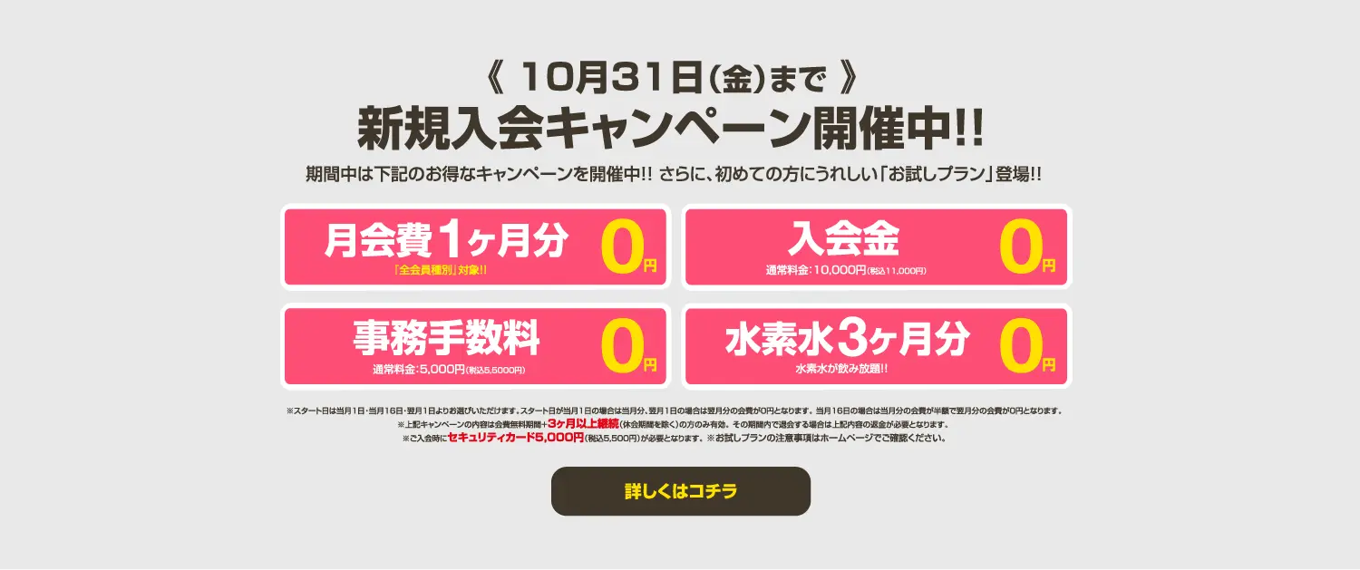 今月のキャンペーン情報