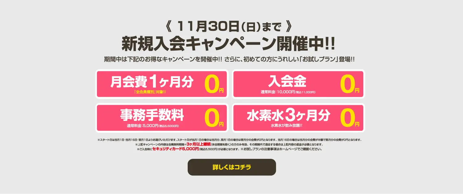 今月のキャンペーン情報