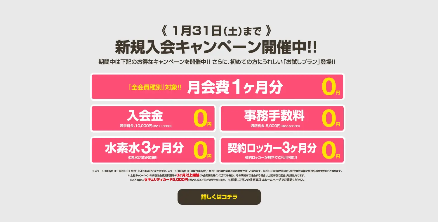 今月のキャンペーン情報