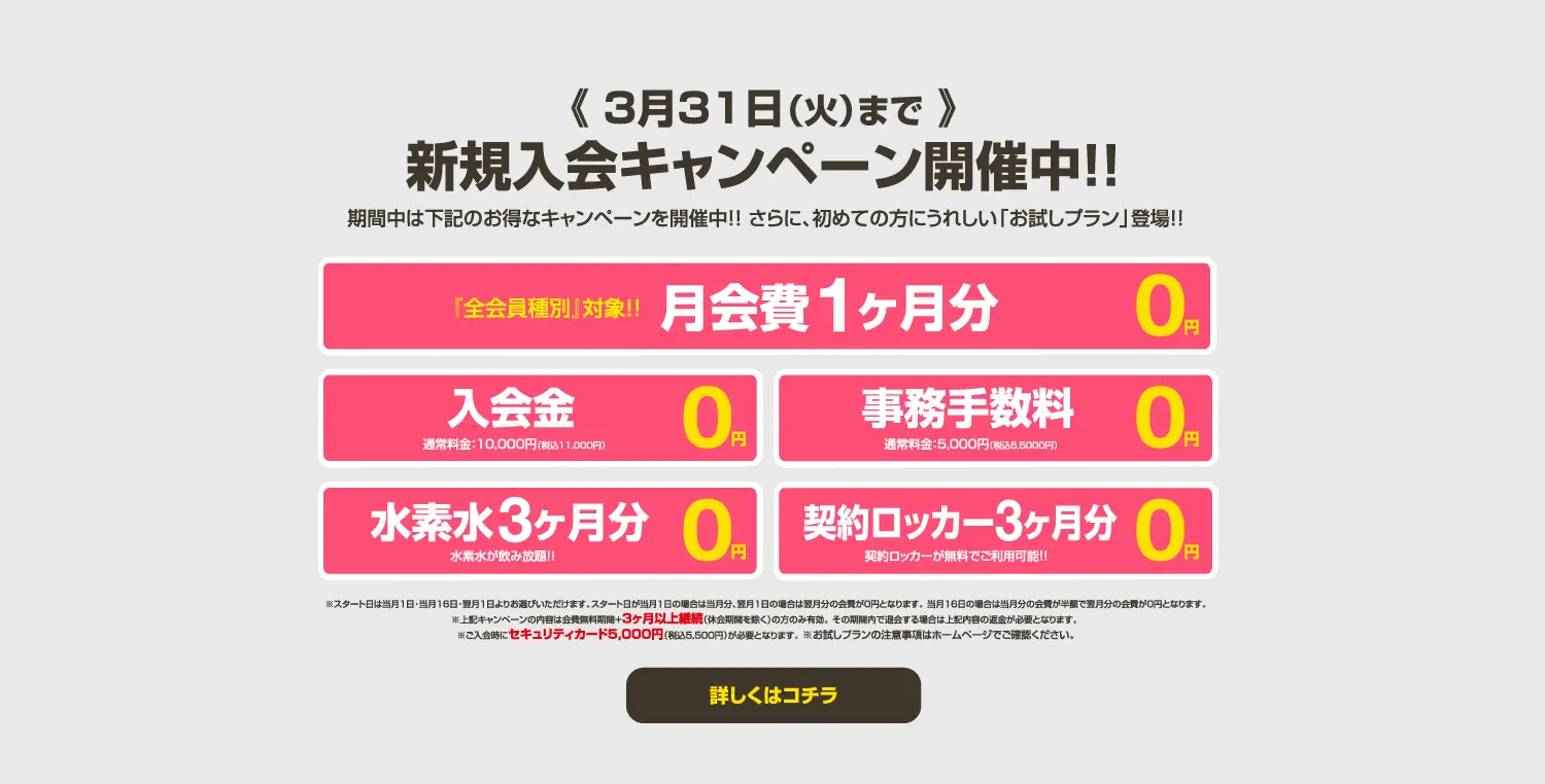 今月のキャンペーン情報