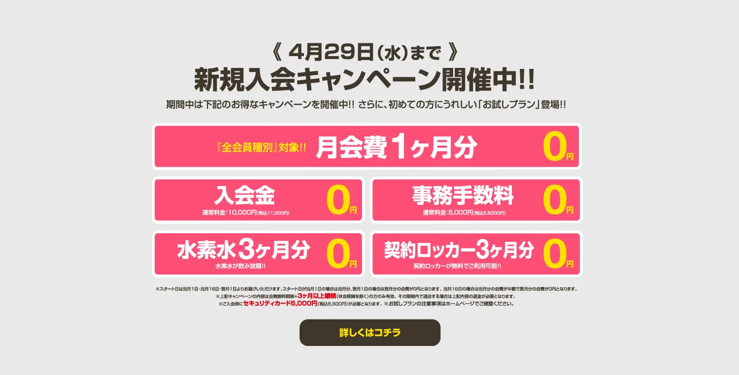 今月のキャンペーン情報