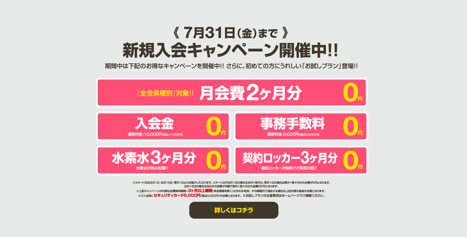 今月のキャンペーン情報