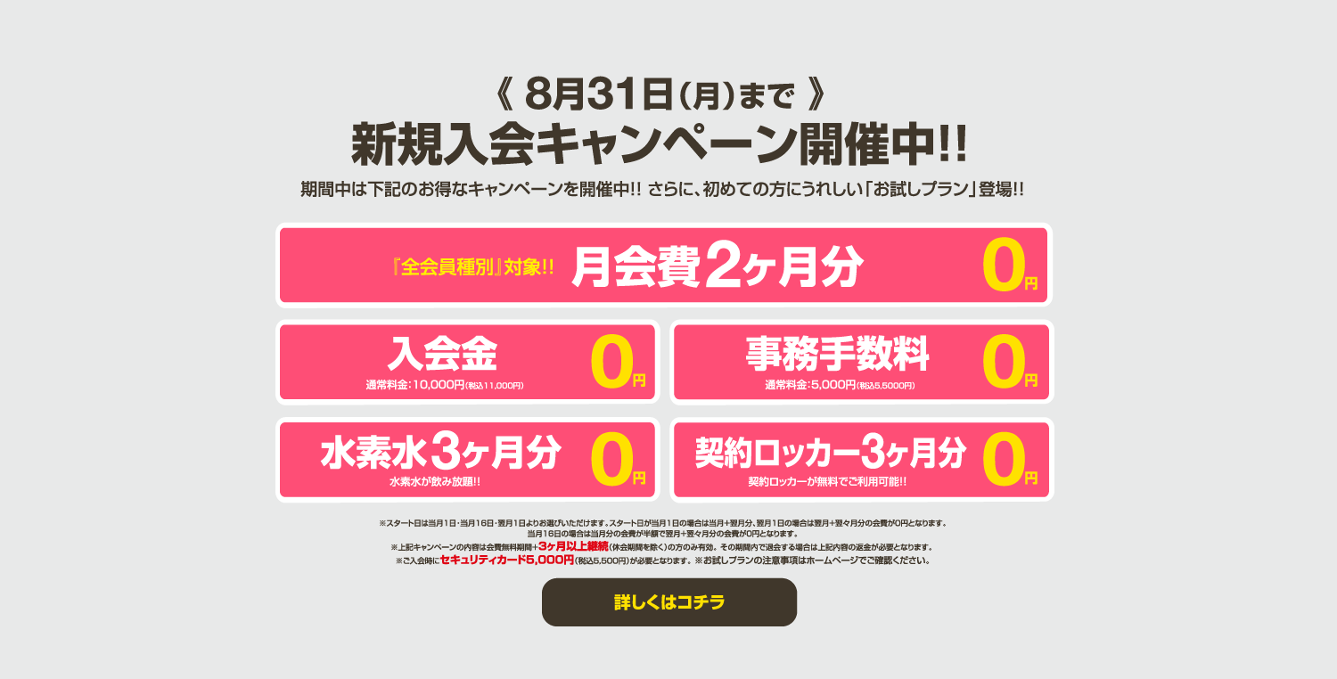 今月のキャンペーン情報