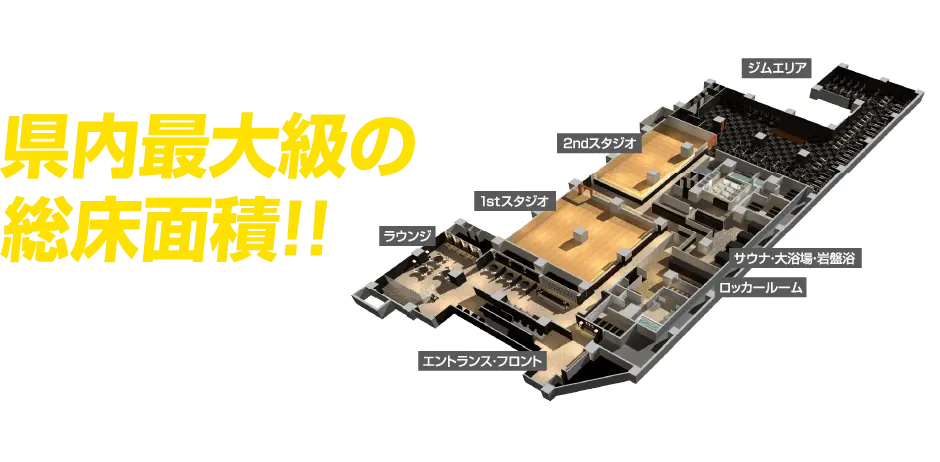 県内最大級の快適空間！約600坪のスムーズな導線。高級感溢れる大型フィットネスクラブ