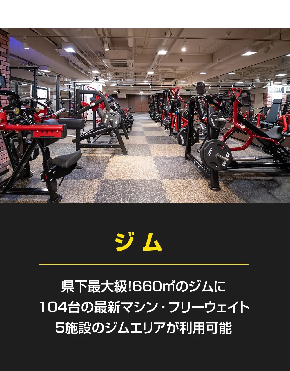 「ジム」県下最大級！660平方メートルのジムに104台の最新マシン・フリーウェイト。５施設のジムエリアが利用可能
