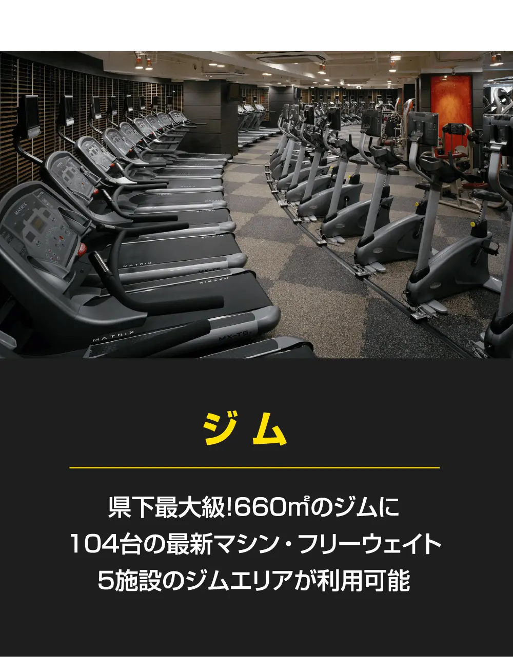 「ジム」県下最大級！660平方メートルのジムに104台の最新マシン・フリーウェイト。５施設のジムエリアが利用可能