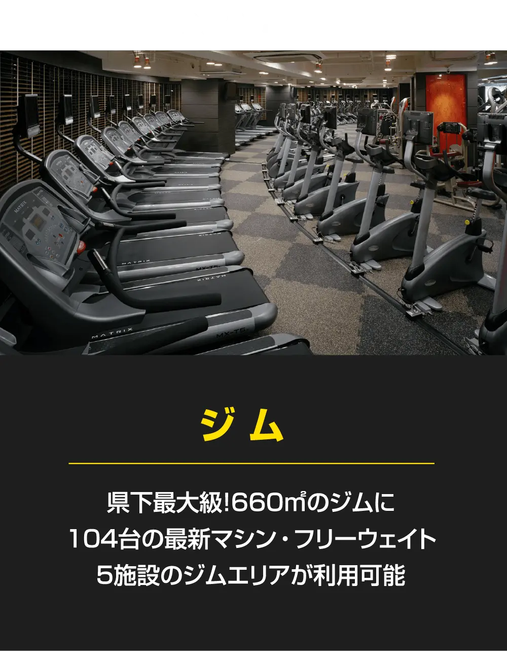 「ジム」県下最大級！660平方メートルのジムに104台の最新マシン・フリーウェイト。５施設のジムエリアが利用可能