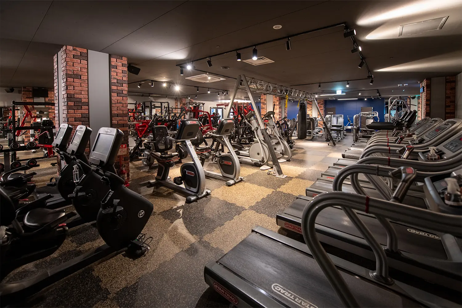 あらゆる目的・部位に効果的な有酸素系から筋力アップ系の高性能トレーニングマシンを完備。理想の身体作りを叶える環境をご提供。