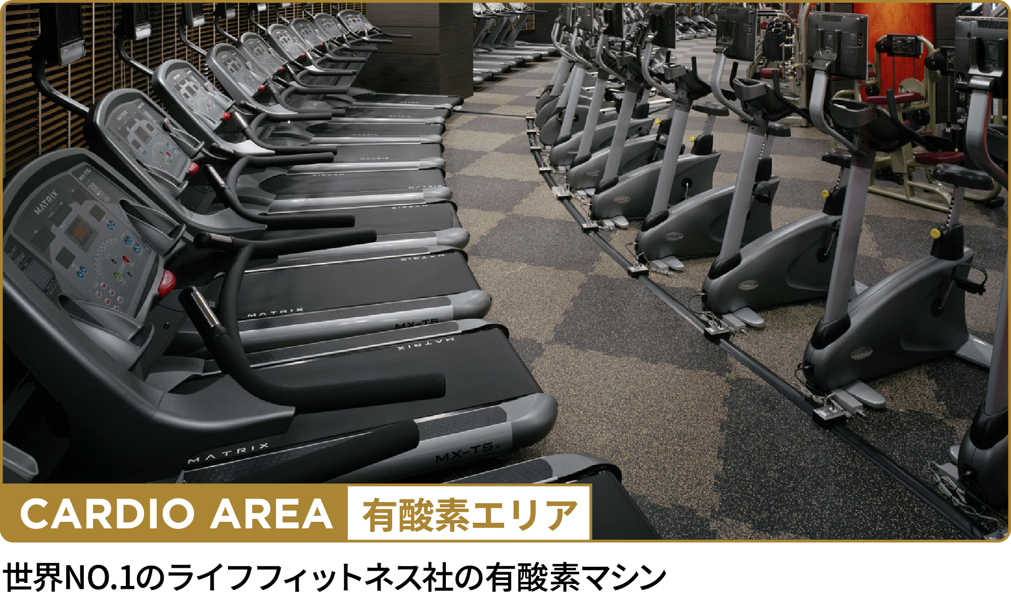 有酸素エリア。世界No1のライフフィットネス社の有酸素マシン