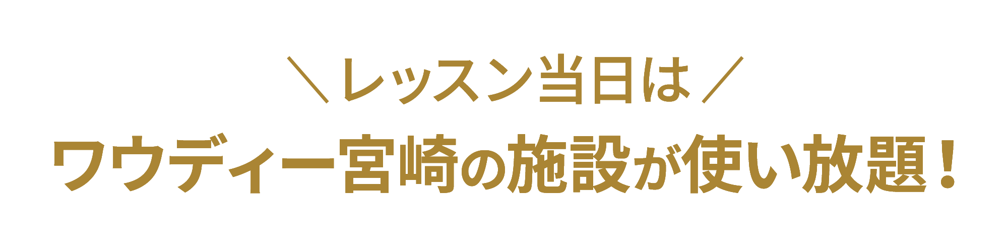 レッスン当日はワウディー宮崎の施設が使い放題!